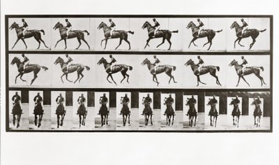 Hest og rytter, plade 621 fra Animal Locomotion, 1887 af Eadweard Muybridge