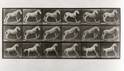 Horse on Rockers and Horse Rolling a Barrel, plade 649 fra Animal Locomotion, 1887 af Eadweard Muybridge