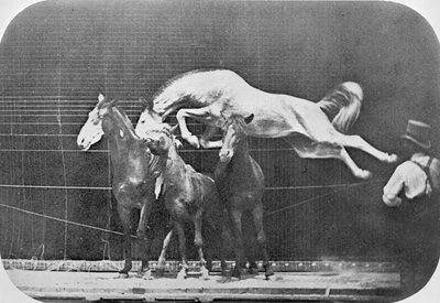 Springer over tre heste...kastanjehest Hornet, fra 