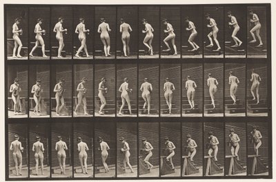 Plade 103. Dreje- og opadgående trapper, kande og bæger i hænder, 1872-1885 af Eadweard Muybridge