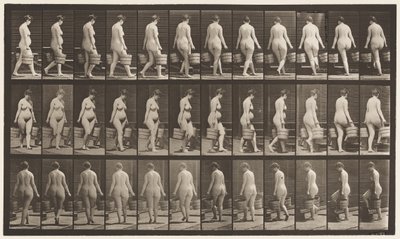 Plade 106. Vending for at gå op ad trapper, spand vand i hver hånd, 1872-1885 af Eadweard Muybridge