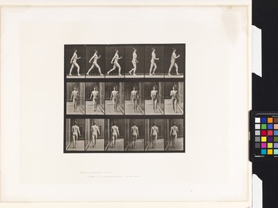 Plade 10.Gå af Eadweard Muybridge