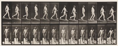 Plade 113. Descending Incline, 1 i 4, 1872-1885 af Eadweard Muybridge