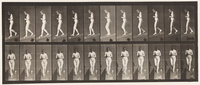 Plade 115. Nedadgående hældning med hænderne spændt foran af Eadweard Muybridge
