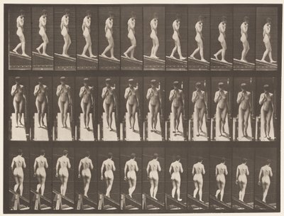 Plade 116. Faldende hældning, en hånd på hagen af Eadweard Muybridge