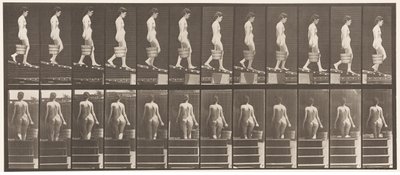 Plade 120. Faldende hældning, spand vand i højre hånd, 1872-1885 af Eadweard Muybridge