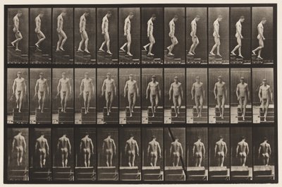 Tavle 125. Nedstigende Trapper af Eadweard Muybridge