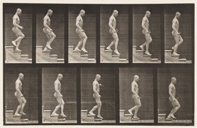Tavle 126. Nedstigende Trapper af Eadweard Muybridge