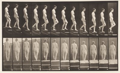 Tavle 129. Nedadgående Trapper, Hænder spændt af Eadweard Muybridge