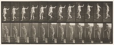 Plade 132. Nedadgående trapper, vende sig for at se sig omkring & vinke med hånden af Eadweard Muybridge