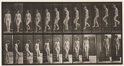 Tavle 137. Nedstigende Trapper, Vending Om af Eadweard Muybridge
