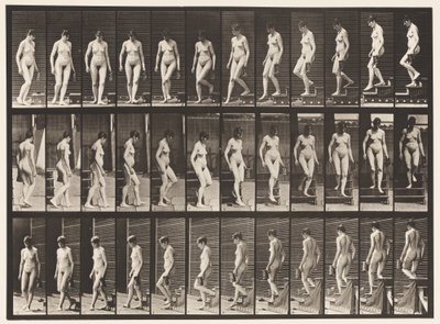 Plade 138. Nedadgående Trapper Drejning; Kande i venstre hånd af Eadweard Muybridge