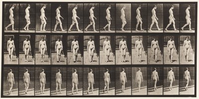 Tavle 13. Vandrende, 1872-1885 af Eadweard Muybridge