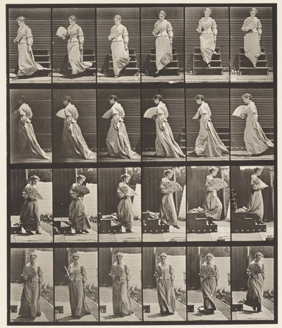 Plade 141. Nedgang og Flirtende Vifte af Eadweard Muybridge