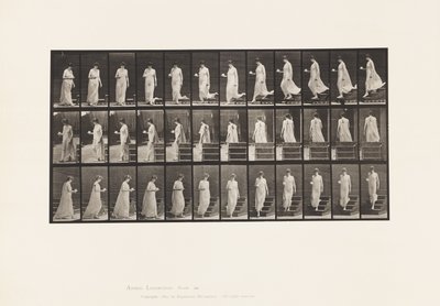 Tallerken 143. Nedadgående hældning, vende kop og underkop i højre hånd af Eadweard Muybridge
