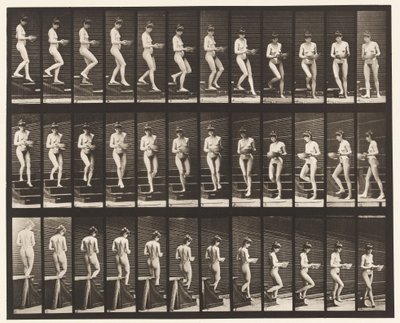 Tavle 144. Nedstigende Trapper; Drejebassin i hænder af Eadweard Muybridge