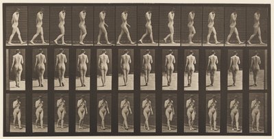 Plade 14. Gående, højre hånd ved hagen, 1872-1885 af Eadweard Muybridge