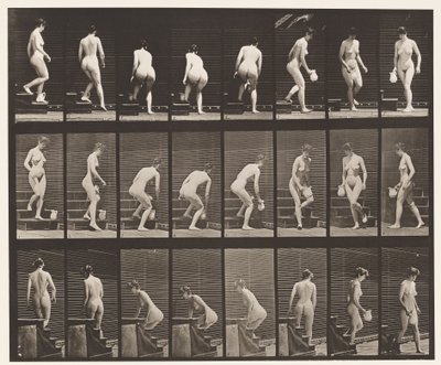 Tavle 150. Nedstigende Trapper; Bøjning, løftekande, drejning, 1872-1885 af Eadweard Muybridge