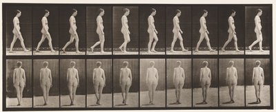 Plade 15. Gå af Eadweard Muybridge