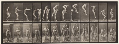Plade 166. Springning; Over Mandens Ryg af Eadweard Muybridge
