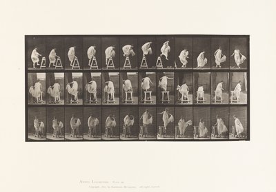 Tallerken 172. At træde på en buk; Jumping Down, Turning, 1885 af Eadweard Muybridge