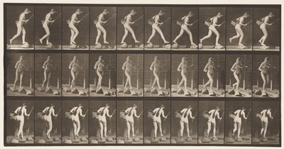 Tavle 177. Krydsende bæk på trappesten med fiskestang og kurv af Eadweard Muybridge
