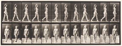 Tavle 17. Vandrende, 1872-1885 af Eadweard Muybridge