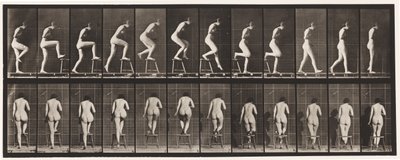 Tallerken 180. At træde på og over en stol af Eadweard Muybridge