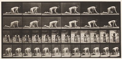 Tallerken 182. Kravlende på Hænder og Knæ af Eadweard Muybridge