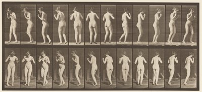 Tallerken 195. Dansende vals af Eadweard Muybridge