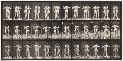 Tavle 196. Dansende vals, to modeller af Eadweard Muybridge