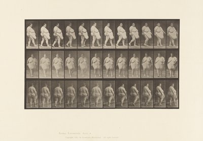 Plade 19. Gå, begynder at vende om af Eadweard Muybridge
