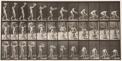Plade 201. Tager 12-lb kurv fra hovedet, sætter den på jorden, 1872-1885 af Eadweard Muybridge