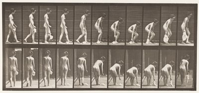 Tallerken 202. Tab og løft af et Lommetørklæde af Eadweard Muybridge