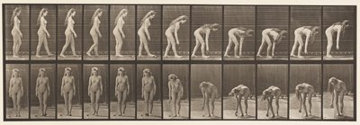 Plade 204. Stop for at samle bolden op af Eadweard Muybridge