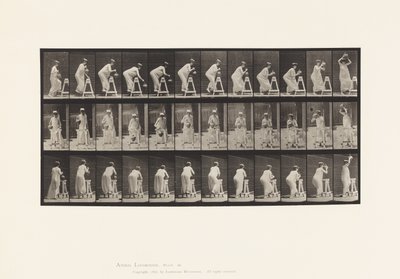 Plade 216. Bøjning for at fylde vandkrukke; Sæt krukken på hovedet af Eadweard Muybridge