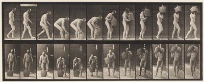 Plade 218. Bøjning og løft af fuld Demijohn til skulder af Eadweard Muybridge
