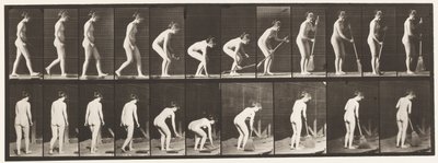 Tallerken 219. Bøje og løfte Kost og Feje af Eadweard Muybridge