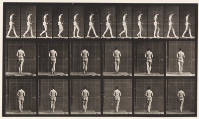 Plade 21. Gående, begge albuer bøjet af Eadweard Muybridge