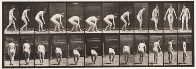 Tallerken 220. Bøje- og løftetørklæde og vende af Eadweard Muybridge