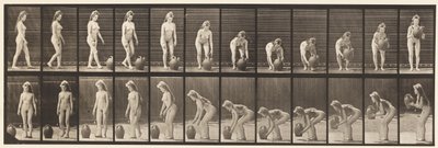 Tallerken 228. Drejning og løft af vandkrukken fra jorden af Eadweard Muybridge