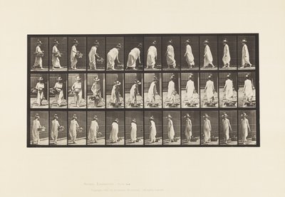 Plade 229. Anbringelse af kurv på jorden og drejning af Eadweard Muybridge