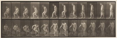 Tavle 236. Placing Diair and Sitting Down, 1885 af Eadweard Muybridge