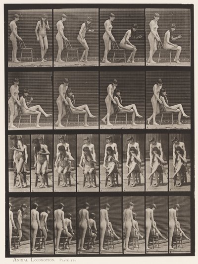 Plade 239. To modeller; Den ene stående, den anden siddende, krydsende ben af Eadweard Muybridge