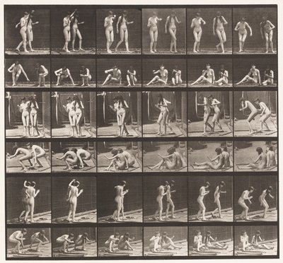 Plade 245. To modeller, der snurrer rundt, sidder på jorden af Eadweard Muybridge