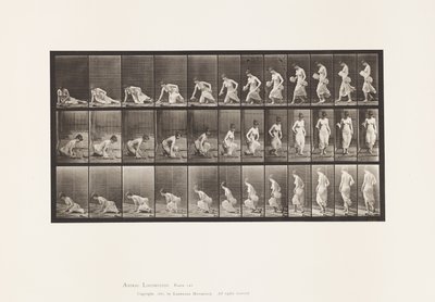 Tavle 248. Sætter sig ned på jorden af Eadweard Muybridge