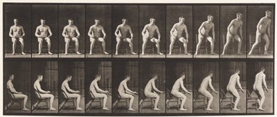 Tallerken 249. Op fra stolen af Eadweard Muybridge