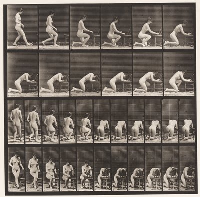 Tallerken 254. Knælende, Albuer på Stol, Hænder spændte af Eadweard Muybridge