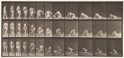Tavle 256. Liggende på jorden og læser, 1872-1885 af Eadweard Muybridge