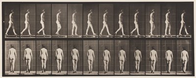 Plade 25. Gå, med højhælede sko på af Eadweard Muybridge